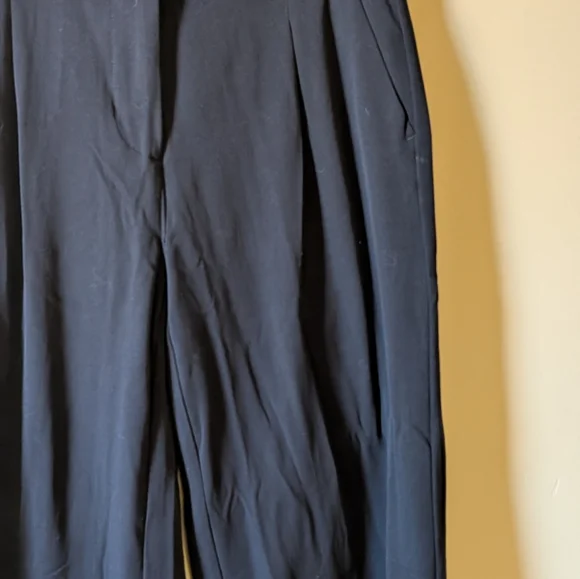 American Eagle Flat Wide Leg Pant - Picture 4 of 14